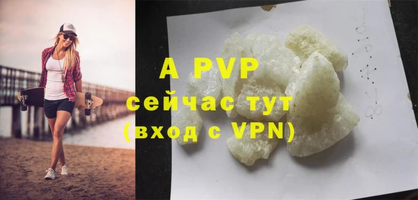 прущие крисы Бородино