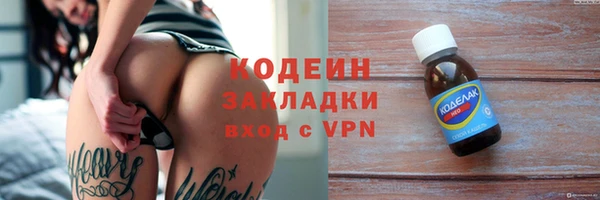 прущие крисы Бородино
