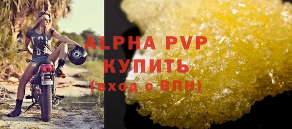прущие крисы Бородино