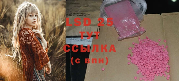 прущие крисы Бородино
