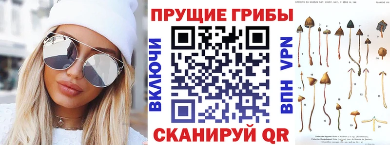 как найти закладки  Раменское  Галлюциногенные грибы ЛСД 